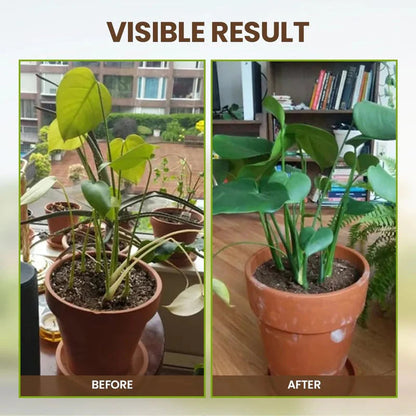 Soil Pro Activator (Buy 1 Get 1 Free)